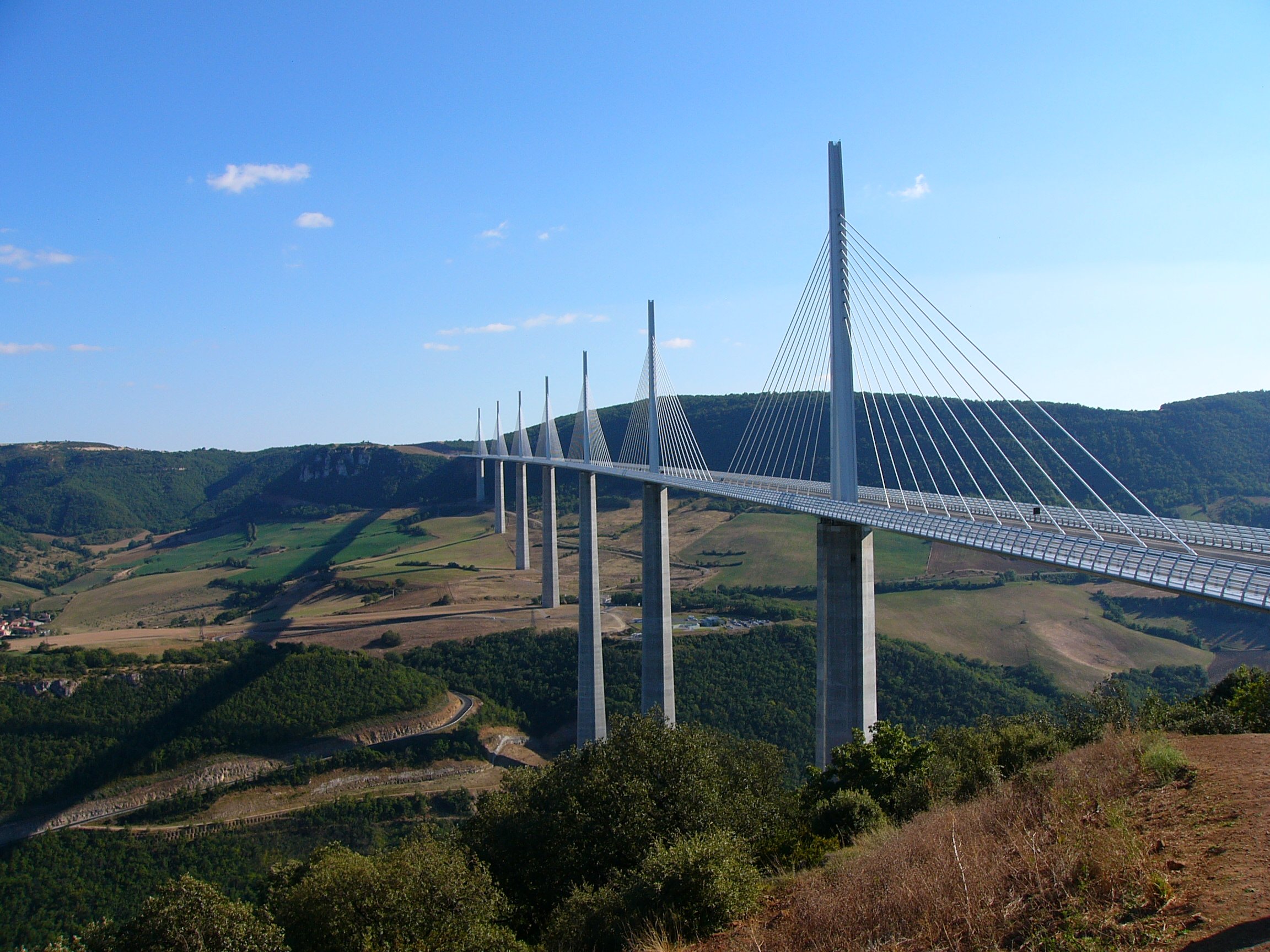 Perspectives on the Evolution of Structures: Millau Viaduct